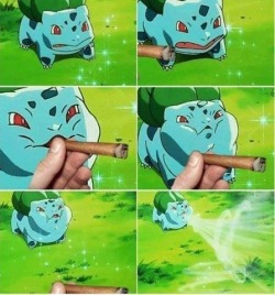 Hell yeah bulbasaur.