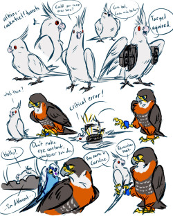 unbadger:  TURRET BURDS. with orange-breasted falcon!Chell and