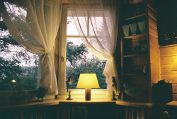 the-cozy-room:  ☼ coziest blog on tumblr ☼