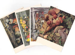 sovietpostcards:  A small collection of mushroom postcards I