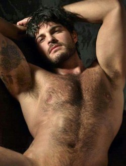 hairynmuscleman:  Hairy’n’Muscle Manthe hottest menhttp://hairynmuscleman.tumblr.com/