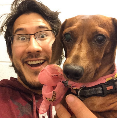 pucklexis:  Markiplier and his puppies.