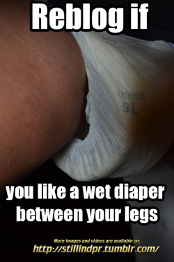 stillindpr: Reblog if you like a wet diaper between your legs