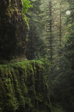 catxlyst:  Eagle Creek Trail, Oregon | by Chris Ebarb  “This