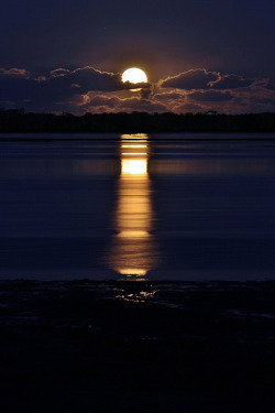 4quarius:  Moonrise over Cabbage Tree Point by Rebecca Demler