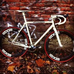 youcantbuyland: tandemracer’s photo on Instagraminstagram.com