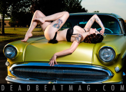 alternative-pinup:  Model: Olivia Dantes Photo: Shannon Brooke