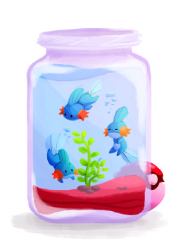 kafel88:  tiny madkips in the jar ;] caught in the wild   Pokémon