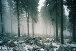 alcyere:  . (by magnetic.elements)