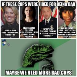 spillboy:  Maybe we need more bad cops?