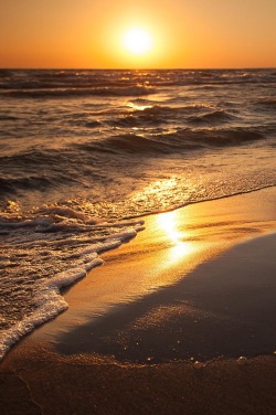 Kingdom Of The Ocean