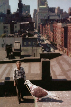 endilletante:  Slide Show : The Color Photographs of Helen LevittPhotographs