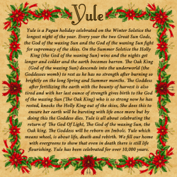 wiccateachings:  Yule (Winter Solstice) is in 3 days. Welcome