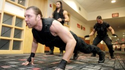 kelseyyblair:  Excuse me while I go faint… (Courtesy of DeanAmbrose.net)