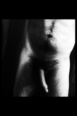 #black #hairy #cock