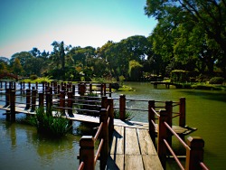 viaje-bicho:  Japanese Gardens, Buenos Aires