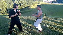 heroofomegle:  Shaolin Bird Kung Fu (video) 