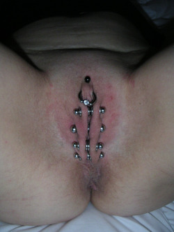 pussymodsgalore  Pussy with pierced outer labia with flesh tunnels,