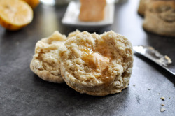 fattributes:  Beer Biscuits with Sriracha Meyer Lemon Butter