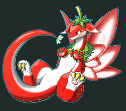 This is “Red Sky Fruit Strawberry Dragon” according