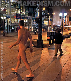 nakedism:  New photo set posted to Nakedism: Jingle Bell Cock