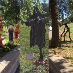 slbtumblng:  sixpenceee:   “Our  town had a scarecrow contest