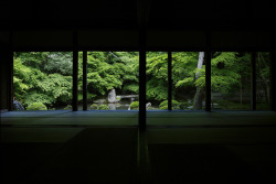 sobaslut:   	quiet garden by Yoshi Shimamura    	Via Flickr: