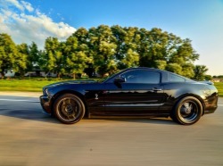 screamingcars:(via Modified 2013 Shelby GT500 Mustang for sale)