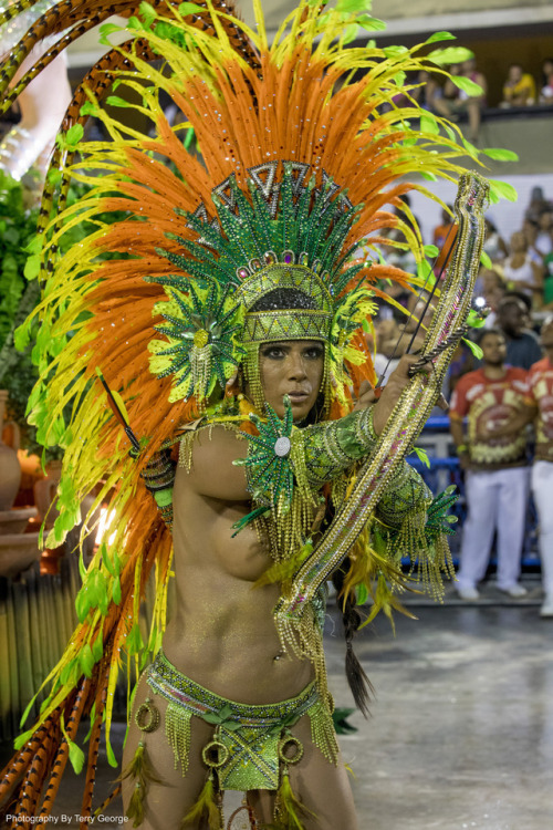   Carnival in Rio De Janeiro 2017, by Terry George.  