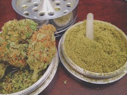 sirsmokessalot:  Keif tray and some of the hairiest nuggets ever