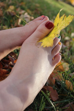 I took some cute pics to match the changing leaves, and will