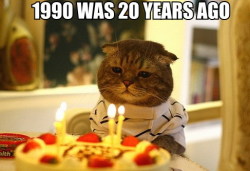 louveniabosleybd0a:These Are The Saddest Cats On The Internet#24