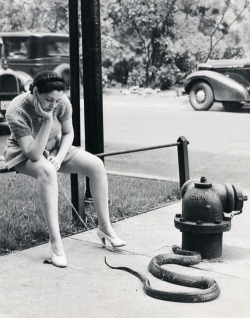 Burlesque dancer Zorita, feeds her pet snake Elmer, New York,