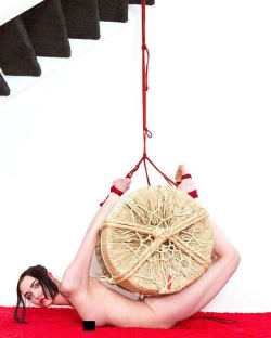 ropemarks-bob:#TBT 2011 - What to do with an empty sake barrel?