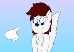 Ask The Silly Wolf