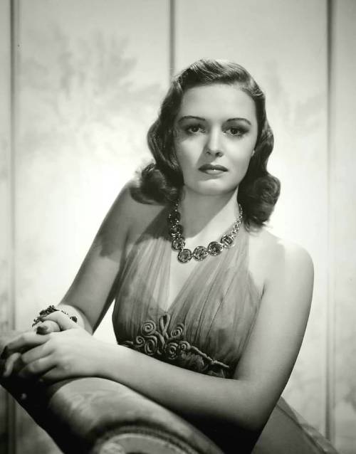 Donna Reed Nudes & Noises  