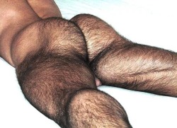 Hairy Chests, Beards and tons of Fur!