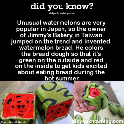 did-you-kno:  SourceHappy Watermelon Day, Tumblr!