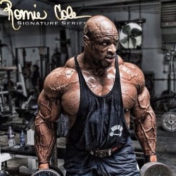 drwannabe:  Ronnie Coleman  [more posts of Ronnie] 