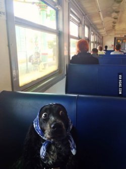 9gag:  Show me your ticket 