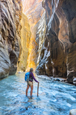 travelgurus:               Hiking in the Narrows of Zion