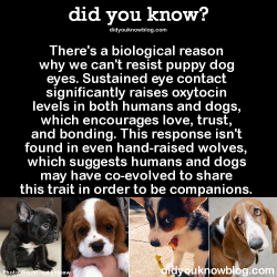 did-you-kno:  There’s a biological reason why we can’t resist