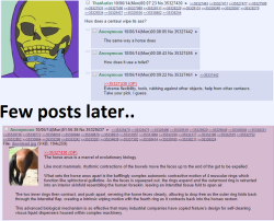 armedandgayngerous:  Meanwhile, on 4chan.