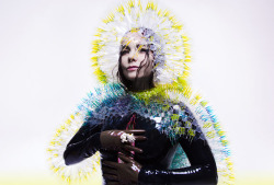 bellyta1:  Vulnicura