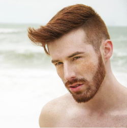 Les Hommes Barbus
