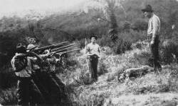 Firing squad execution during the Mexican Revolution via reddit