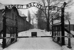 t-bundy:  humanoidhistory:  The Auschwitz-Birkenau concentration