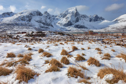 photosofnorwaycom:  Snow-covered Flat near Kilan, with Stortinden