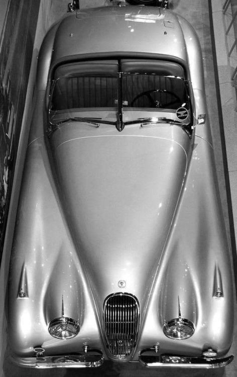 frenchcurious:Jaguar XK120 Roadster (1948-54). - source Les Anciennes