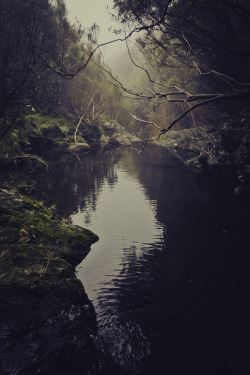 wild-nirvana:  definitelydope:  Lagoa do vento   •my spiritual